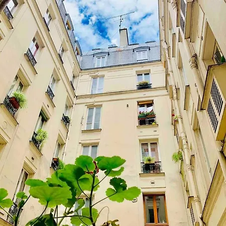 Artist Designed Flat In Central Area Montparnasse Apartment Paris